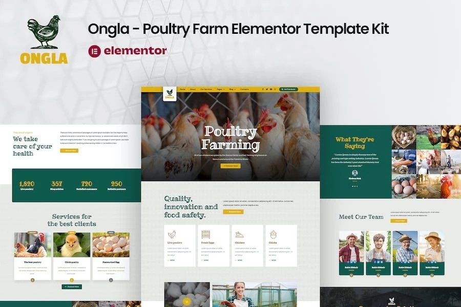 Ongla - Template Kit Elementor para granjas avícolas
