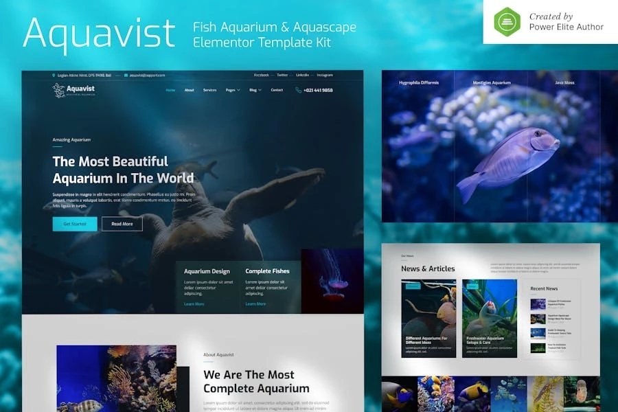 Aquavist Kit de plantillas Elementor para acuarios de peces y paisajes acuáticos