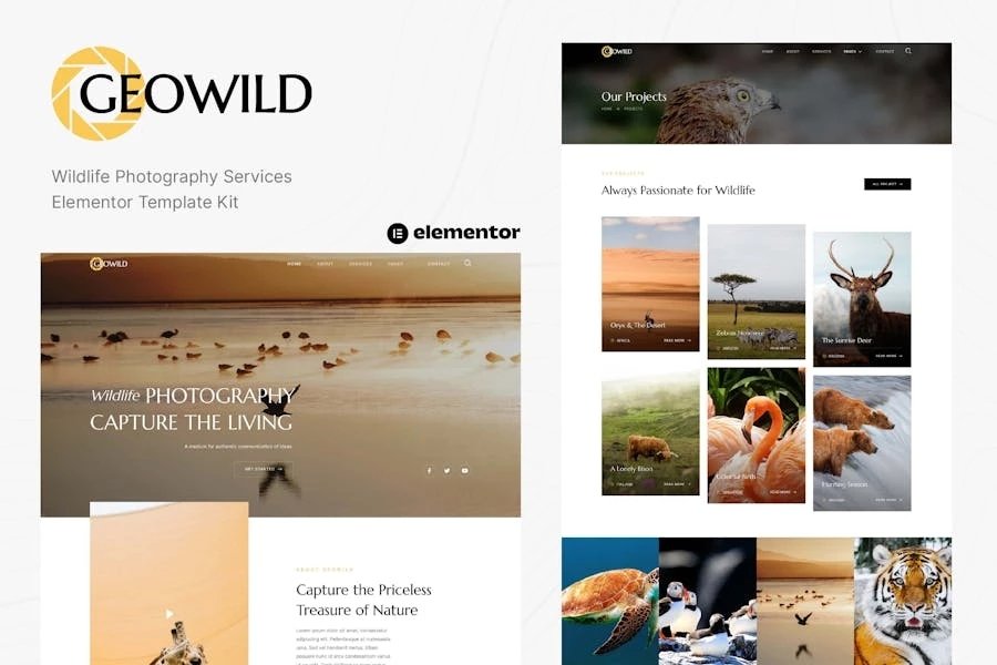 Geowild - Template Kit Elementor para servicios de fotografía de fauna