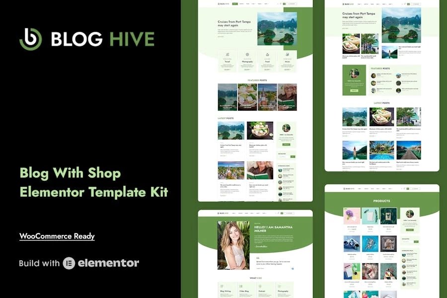 Blog Hive - Template Kit Elementor para blog personal