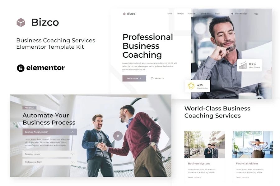 Bizco - Template Kit Elementor de Coaching Empresarial