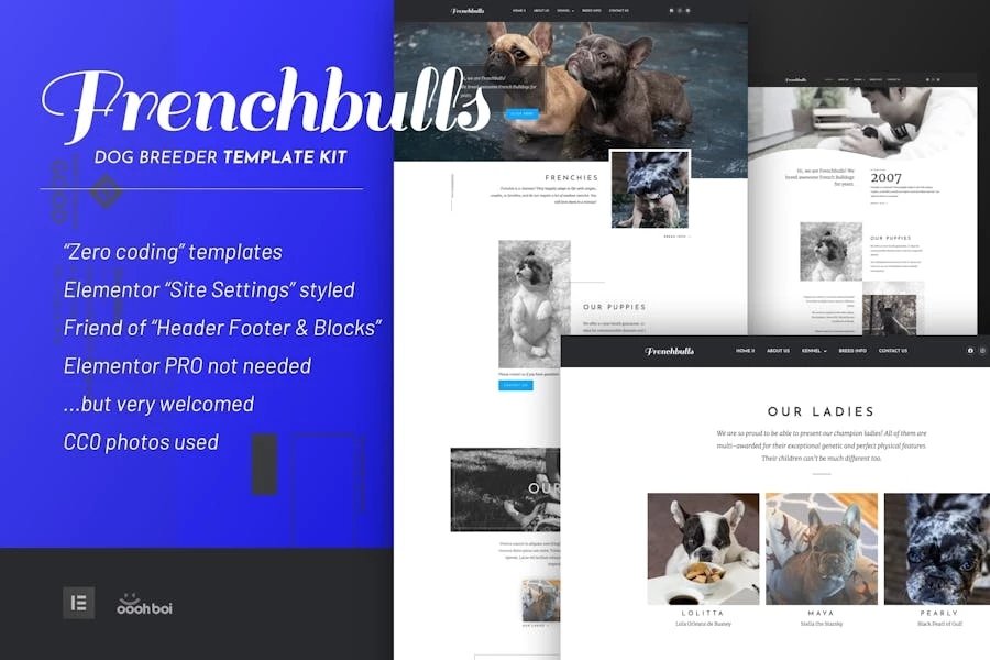 Frenchbulls - Template Kit de Elementor para criadores